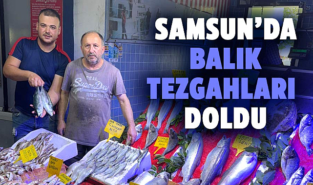 Samsun'da balık tezgahları doldu