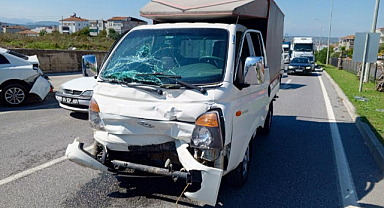 Samsun'da başıboş hayvan kazaya neden oldu