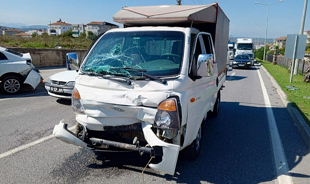 Samsun'da başıboş hayvan kazaya neden oldu