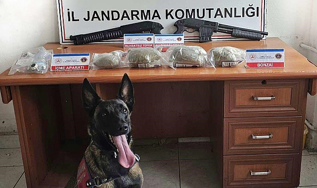 Samsun'da bonzai operasyonu 3 kilo yakalandı