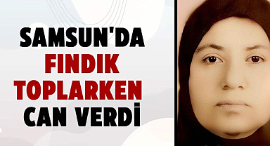 Samsun'da Emine Kalyoncu fındık toplarken can verdi
