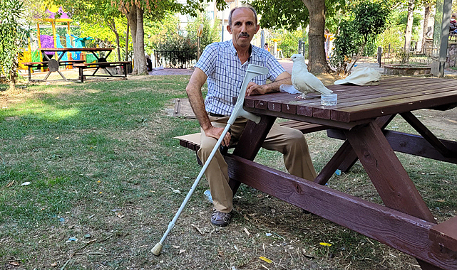 Samsun'da engelli adam ve sakat güvercin dostluğu