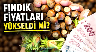 Samsun'da fındık fiyatları yükseldi mi?