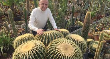 Samsun'da turizmci Şükrü Şen kaktüs koleksiyonu yaptı
