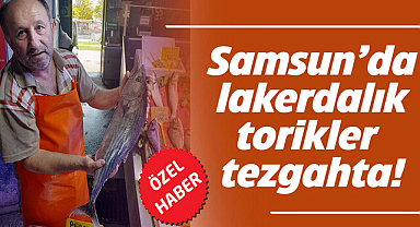 Samsun’da lakerdalık torikler tezgahta!