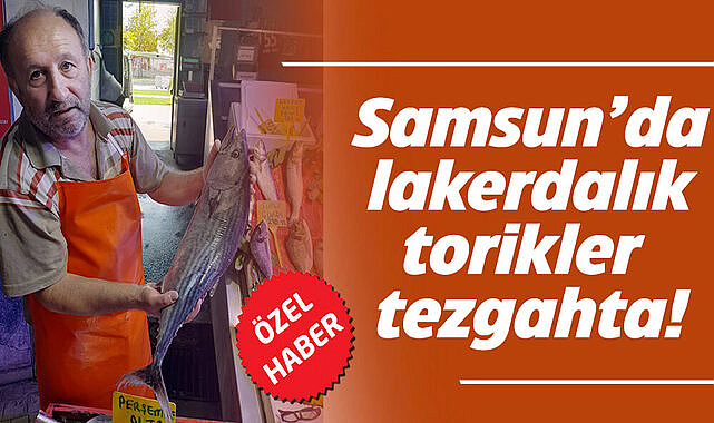 Samsun’da lakerdalık torikler tezgahta!