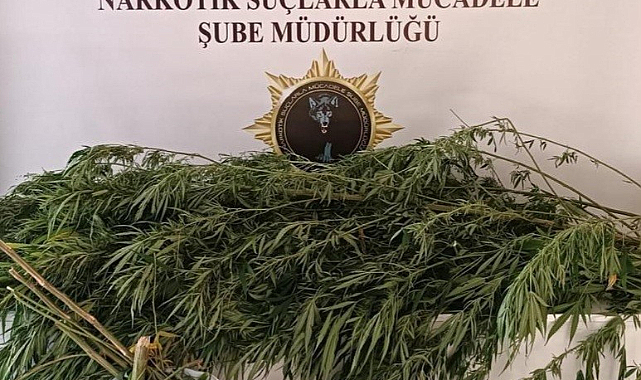 Samsun'da narkotik polisi tarafından operasyon