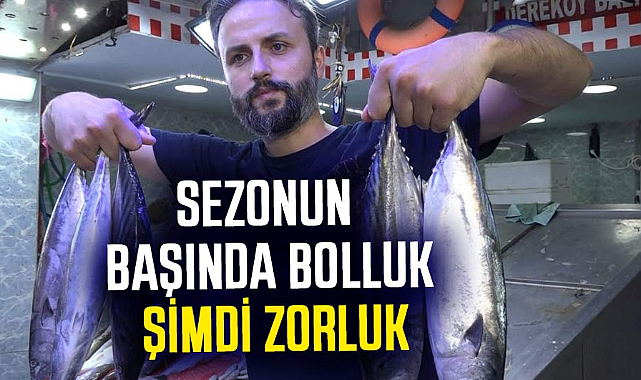 Samsun'da palamut avı azaldı fiyatlar yükseldi