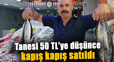 Samsun'da palamutun tanesi 50 TL'ye düşünce kapış kapış satıldı