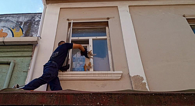 Samsun'da pencerede sıkışan kediyi ekipler kurtardı