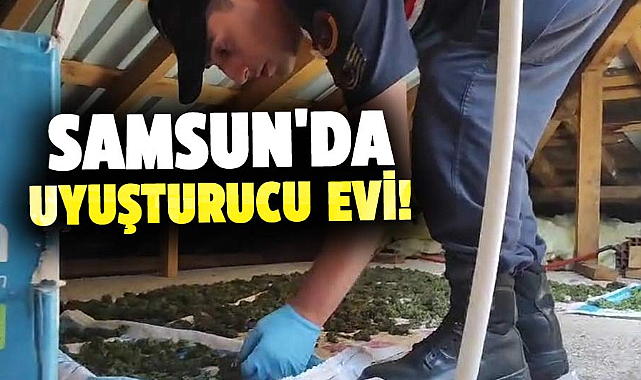 Samsun'da uyuşturucu evi!