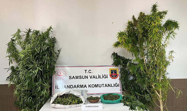 Samsun'da uyuşturucudan bir kişi yakalandı