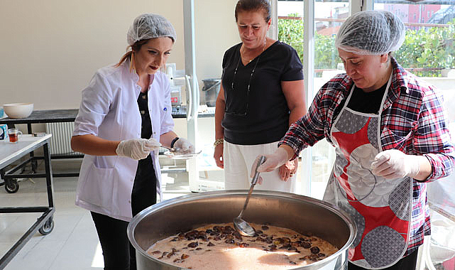 Samsun Havza'da kadın kooperatifine denetim