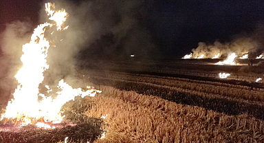 Samsun Tekkeköy'de tarım arazisinde yangın çıktı