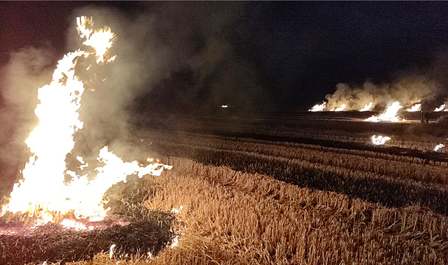Samsun Tekkeköy'de tarım arazisinde yangın çıktı
