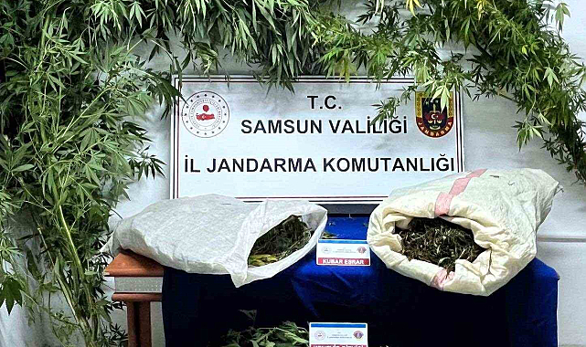 Samsun'da jandarma 8 kilo esrar ele geçirdi