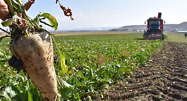 Şeker pancarı ödemeleri için tarih verildi