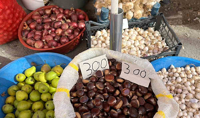 Sinop kestanesi tezgahlarda: Kilosu 300 lira