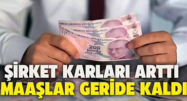Şirketlerin kar oranları arttı! Maaşlar artmadı