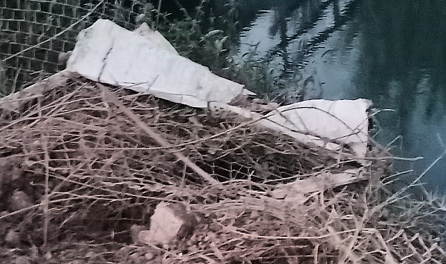 Sulama kanala düşen otomobilden yara almadan kurtuldular