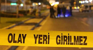 Tır duvara çarptı! Sürücüsü hayatını kaybetti