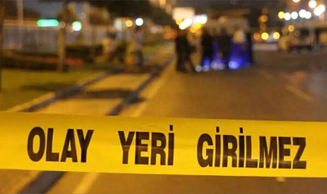 Tır duvara çarptı! Sürücüsü hayatını kaybetti