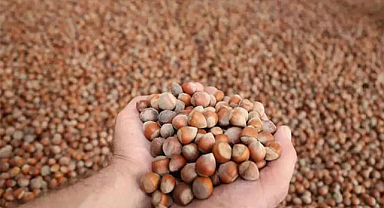 TMO açıkladı! Son 2 yılda alımların çoğu yerli üreticiden yapıldı