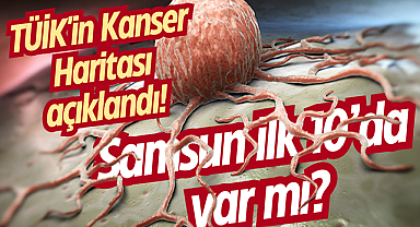TÜİK'in Kanser Haritası açıklandı! Samsun ilk 10’da var mı?
