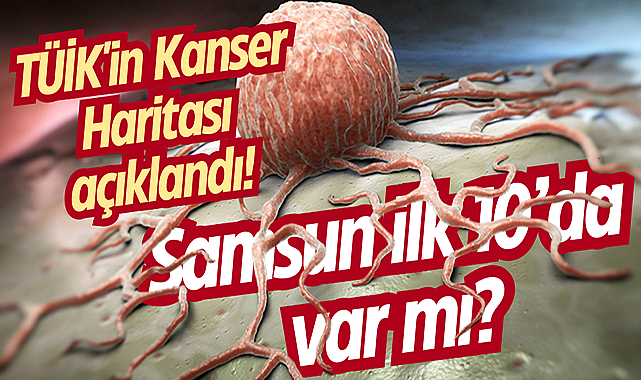 TÜİK'in Kanser Haritası açıklandı! Samsun ilk 10’da var mı?