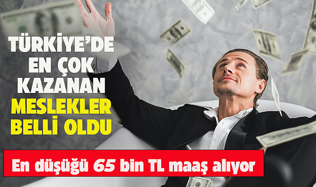 Türkiye'de en çok kazanan meslekler açıklandı