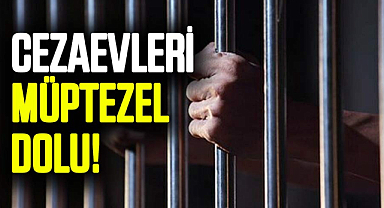 Türkiye'de işlenen suçların üçte biri uyuşturucudan