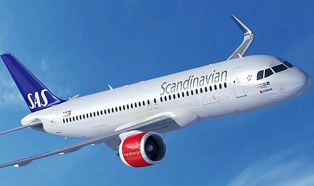 Yolcunun yemeğinden çıkan fare, uçağa acil iniş yaptırdı