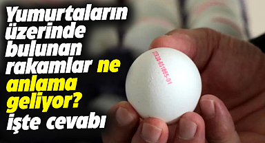 Yumurtaların üzerinde bulunan rakamlar ne anlama geliyor? İşte cevabı