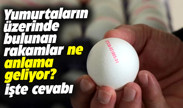 Yumurtaların üzerinde bulunan rakamlar ne anlama geliyor? İşte cevabı