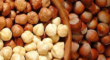 10 Ekim fındık fiyatları ne kadar?