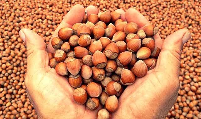 12 Ekim fındık fiyatları ne kadar?