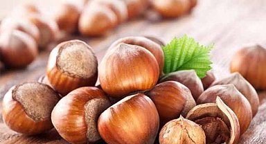 19 Ekim fındık fiyatları ne kadar?