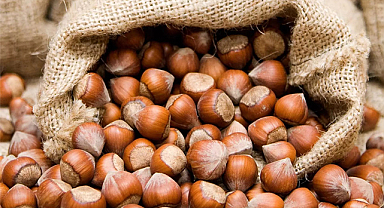 2 Ekim fındık fiyatları ne kadar?