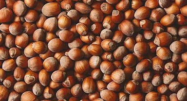 26 Ekim fındık fiyatları ne kadar?