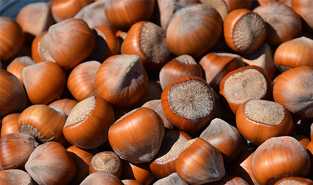 3 Ekim fındık fiyatları ne kadar?