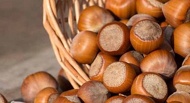 30 Ekim fındık fiyatları ne kadar?