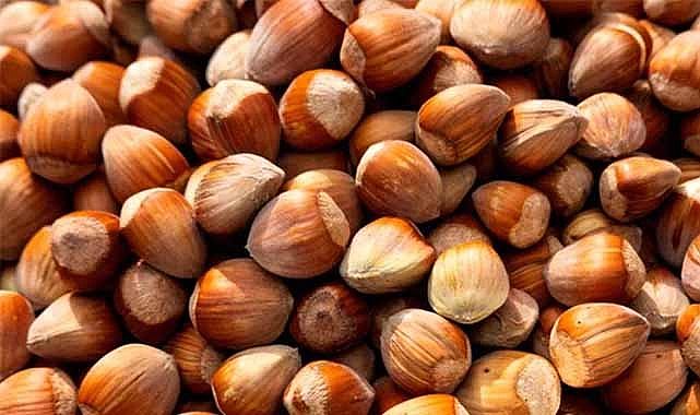 31 Ekim fındık fiyatları ne kadar?