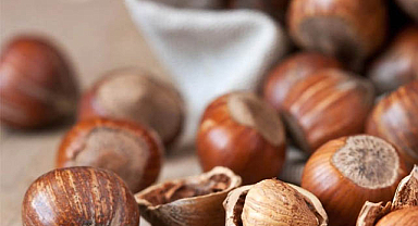 4 Ekim fındık fiyatları ne kadar?