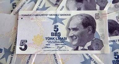5 Türk lirası piyasadan çekilecek: Tedavülden kaldırılıyor