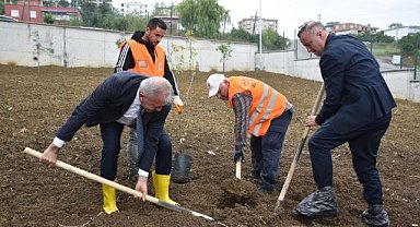Atakum'daki okullarda meyve ağaçları yetişecek