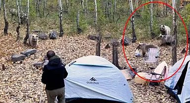 Ayılar çadırı bastı