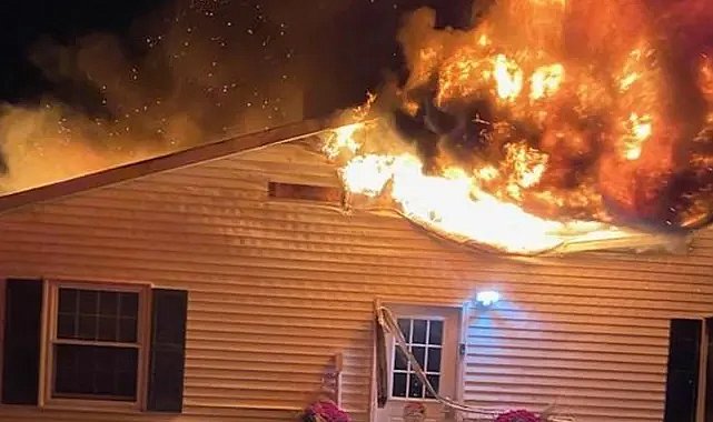 Barınakta çıkan yangın sonucunda 44 hayvan öldü