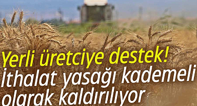 Buğdayda ithalat yasağı kademeli olarak kaldırılacak