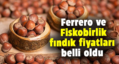 Ferrero fındık fiyatları ve Fiskobirlik fındık fiyatları açıklandı!