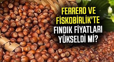 Ferrero ve Fiskobirlik'te fındık fiyatları yükseldi mi?